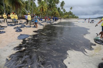 Governo de Pernambuco lança campanha de orientação sobre óleo nas praias