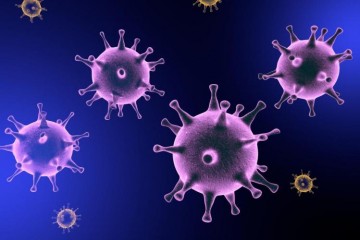 Brasil bate novo recorde de morte por coronavírus