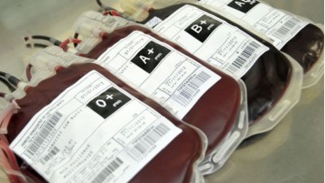 Campanha de doação de sangue no Hemope