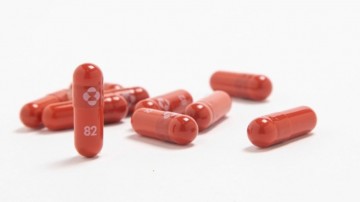 Farmacêuticas MSD e RidgeBack Biotherapeutics anunciam remédio
