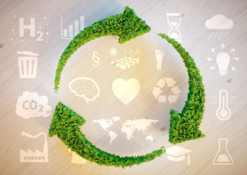 Desafios da sustentabilidade