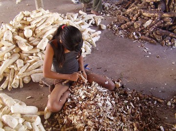 Brasil não cumprirá promessa de erradicar o trabalho infantil até 2020