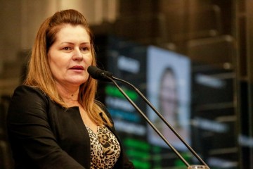 “Pernambuco está cumprindo seu papel no combate ao coronavírus”, afirma presidente da Comissão de Saúde da Alepe