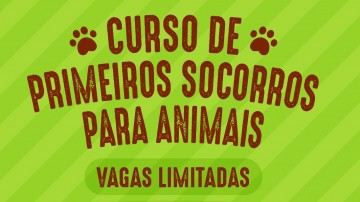Curso sobre primeiros socorros para animais será oferecido em Caruaru