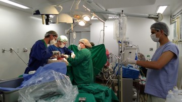 Hospital da Restauração tem aumento de captação de órgão no mês de incentivo a doações