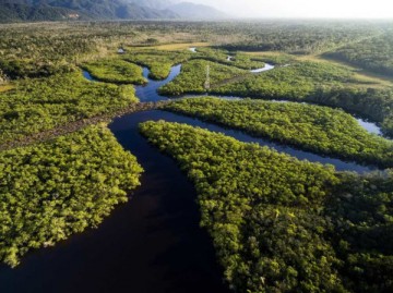 CBN Sustentabilidade: Áreas de biomas brasileiros registraram queda nas últimas décadas