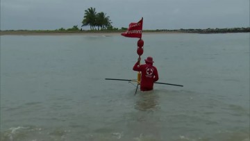 Praias do Grande Recife começam a receber bandeiras flutuantes que alertam para risco de ataque de tubarão