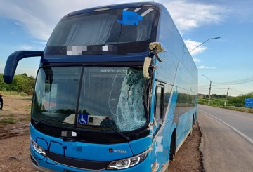Colisão entre ônibus de viagem e caminhão deixa motorista ferido na BR-428, em Petrolina