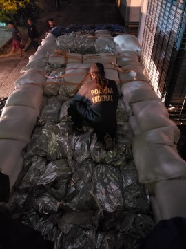 Polícia Federal apreende mais de uma tonelada e meia de drogas em caminhão com carga de milho