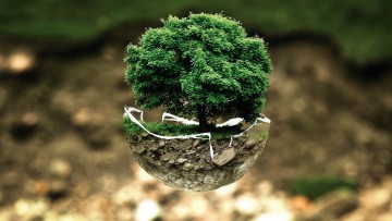 No Dia 5 de Junho é celebrado o dia da Ecologia, Dia Nacional da Reciclagem e Dia Mundial do Meio Ambiente