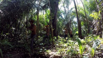 Invasões a terras indígenas são investigadas pelo MPF