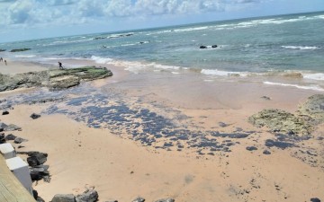 Origem do óleo que atinge praias pernambucanas continua sem explicações 