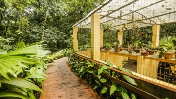 Jardim Botânico do Recife comemora 41 anos 