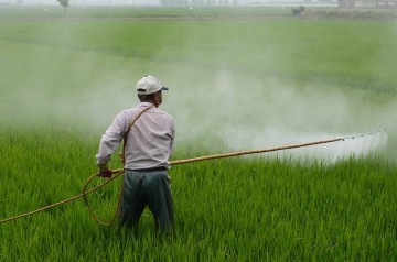 Sustentabilidade: PEC do veneno e a utilização de agrotóxicos 