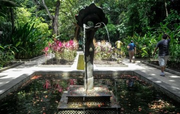 Jardim Botânico do Recife e Econúcleo do Parque da Jaqueira terão atividades gratuitas no fim de semana
