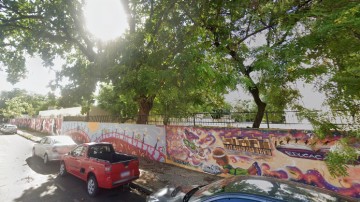 Árvore cai e interdita trânsito em Santo Amaro 