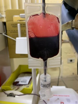 Accape promove segunda edição da campanha de doação de sangue