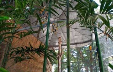 Mini Zoo do Parque Treze de Maio tem gaiolas recuperadas por reeducandos do Patronato Penitenciário e da Seres
