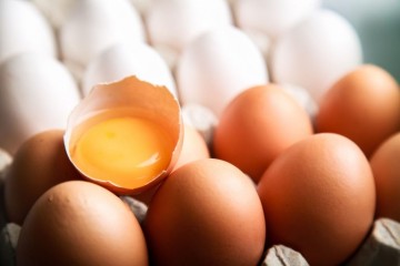 Pernambuco entre os maiores produtores de ovos do país