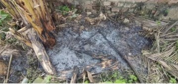 Polícia Civil prende homem que matava e queimava cães em Camaragibe; investigações apuram se a carne era comercializada