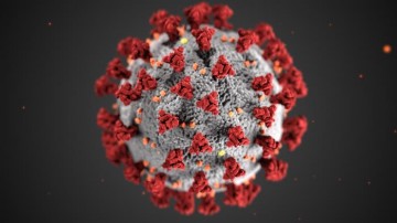 Infectologista da SBI diz que ainda é cedo tratar pandemia da COVID-19 como endemia