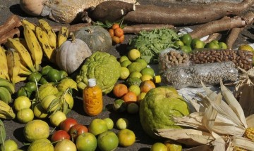 Governo de Pernambuco lança edital para o Programa de aquisição de alimentos com investimento de R$ 17,4 milhões