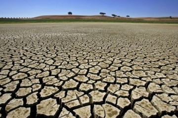  Pernambuco registra redução em áreas de seca