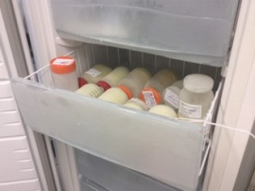 No Recife, IMIP recolhe leite materno congelado na casa das doadoras