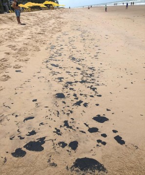 Agência do meio ambiente e Ibama investigam manchas de piche nas praias 