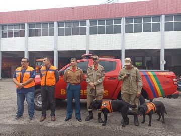 Governo de Pernambuco garante ajuda ao Rio Grande do Sul com envio de bombeiros e cães farejadores