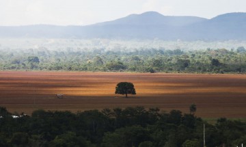 Especialistas discutem monitoramento e desmatamento do Cerrado