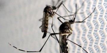 Pernambuco tem aumento de 67,1% nos casos de dengue