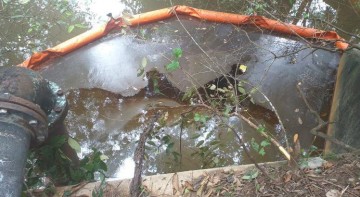Vazamento de óleo na Refinaria Abreu e Lima atinge área de mangue 