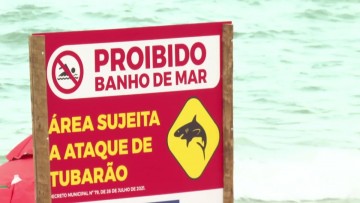 Facepe abre inscrições para projetos de prevenção a incidentes com tubarões e invasões de peixe-leão