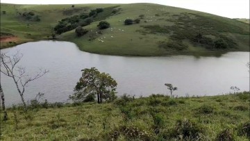 Agricultor morre afogado em barragem depois de salvar vaca no interior do Estado