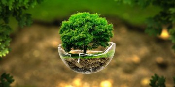 Três datas no mês de março celebram a importância da conscientização ambiental 