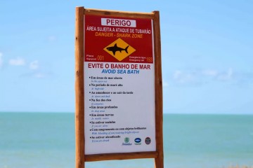 Cemit aponta que surfista foi mordido por tubarão cabeça-chata de 2,5 metros em área de risco em Olinda