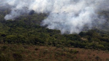 Impactos do aumento da produção de carbono na Amazônia 