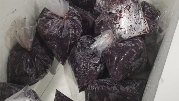Homem é preso no Aeroporto do Recife com cerca de 6kg de cocaína escondidos em embalagens de açaí congelado 