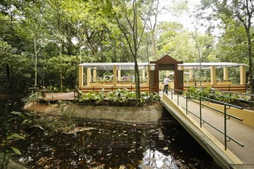 Jardim Botânico do Recife amplia capacidade de visitantes e abre no feriado do Dia das Crianças
