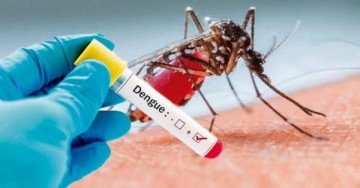 Primeiras 720 mil doses de vacina contra dengue já estão no Brasil; imunização começa em fevereiro 