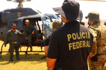 Operação erradica 164 mil pés de maconha no Sertão e evita produção de 55 toneladas da droga