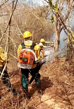 Focos de incêndio controlados em Taquaritinga  do Norte 