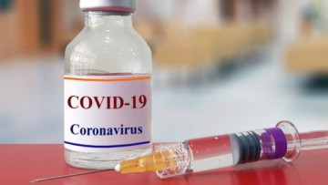 Teste com vacina contra Covid-19 tem bom resultado em ratos