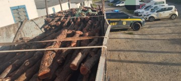 Caminhão carregado com madeira é apreendido com documentação irregular em Garanhuns