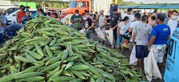 Procura por milho no Ceasa supera expectativa de vendas 