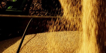PIB do agronegócio cresce 9,8% no 1º semestre puxado por preços altos dos grãos