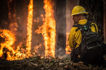 Incêndio atinge parque de conservação de Caatinga no Sertão