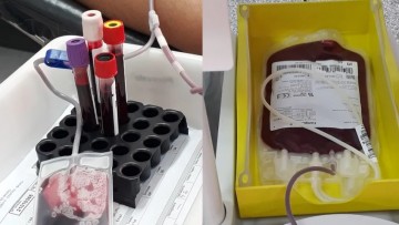 Junho Vermelho e Dia do Doador: Pernambuco precisa de doação de sangue de todos os tipos