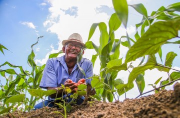 Cerca de 600 famílias de agricultores do Cabo recebem sementes de milho para a próxima safra